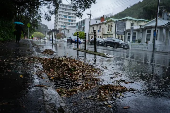Sumidero con hojas acumuladas un día de lluvia